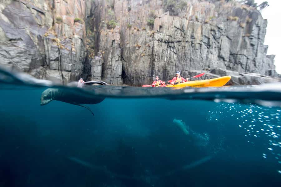 Tasman Peninsula Full-Day Sea Kayak Excursion - The Two-Hour Ride From Hobart to Fortescue Bay