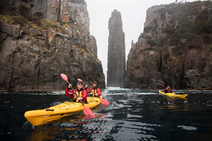 Tasman Peninsula Full-Day Sea Kayak Excursion - The Semi-Submerged Shipwreck on the Return