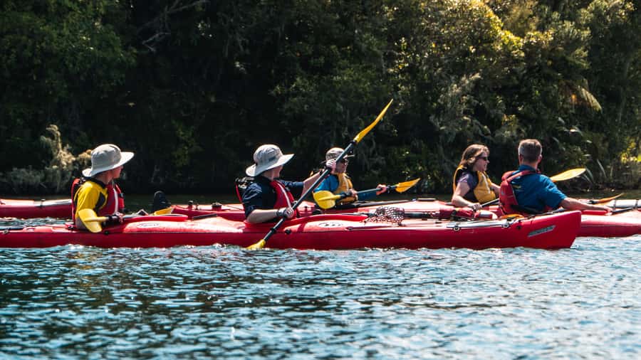 Tauranga: Daytime Scenic Lake McLaren Kayak Tour - Why Lake McLaren makes a good Tauranga outing