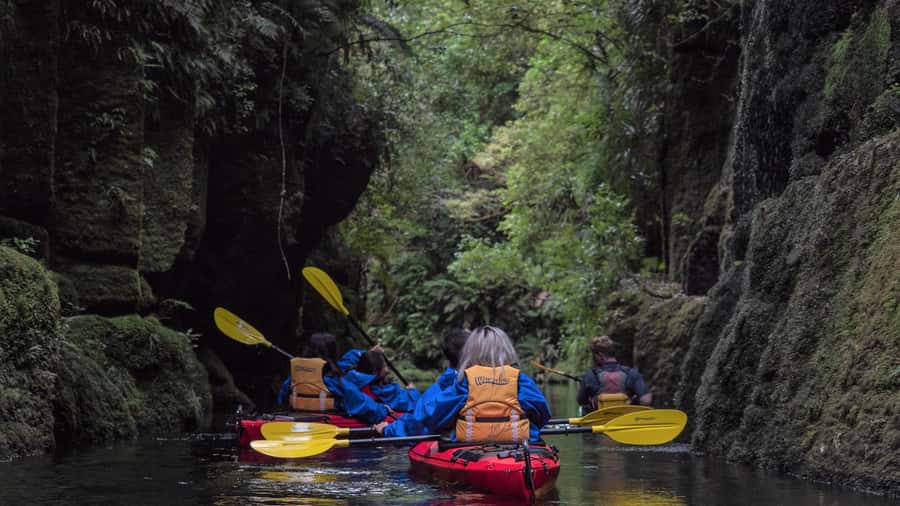Tauranga: Daytime Scenic Lake McLaren Kayak Tour - Paddling across the calm part of Lake McLaren