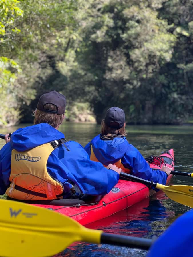 Tauranga: Daytime Scenic Lake McLaren Kayak Tour - Who should book this Lake McLaren tour