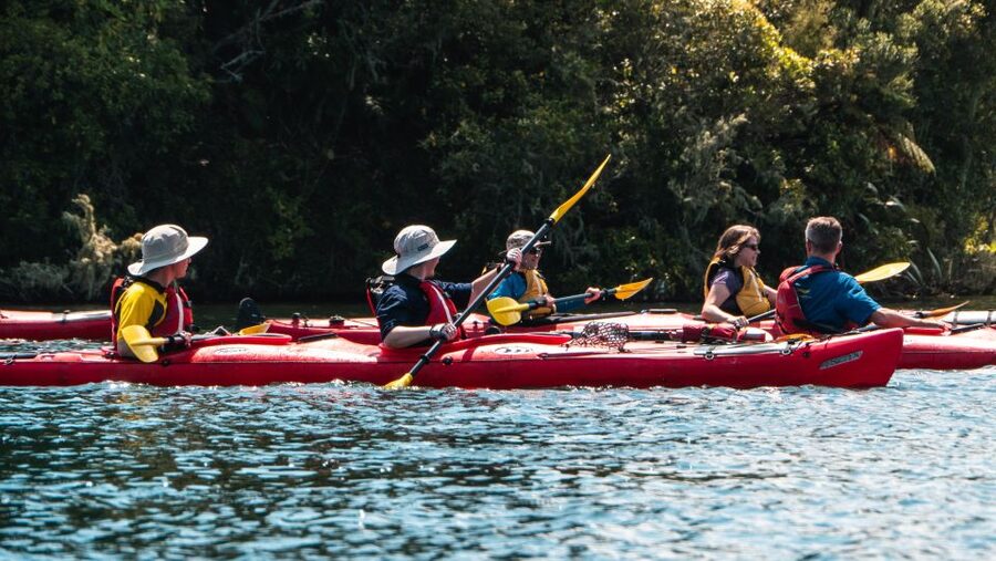 Tauranga: Daytime Scenic Lake McLaren Kayak Tour - Should you book the Lake McLaren paddle?