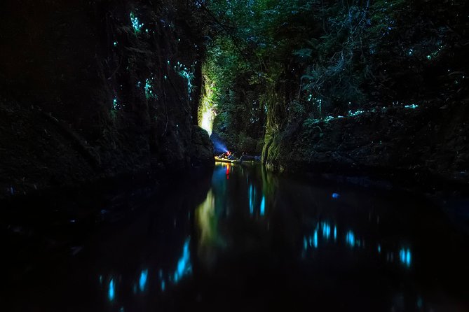 Tauranga: Evening Glowworm Kayak Tour - Is €136.05 fair value?