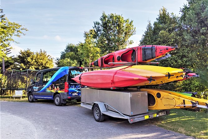 Tauranga: Evening Glowworm Kayak Tour - Should you book the Lake McLaren glowworm tour?
