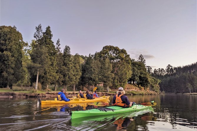 Tauranga: Evening Glowworm Kayak Tour - Te Reka O Te Whenua, a taste of the land