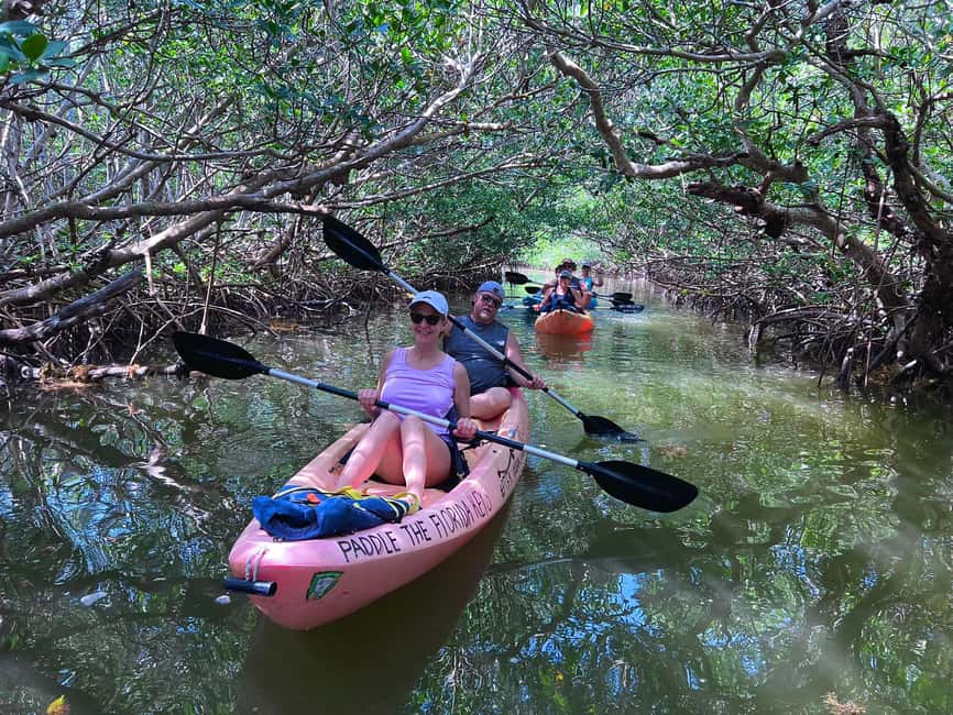 Tavernier, FL: Mangrove and Manatees Guided Kayak Eco Tour - The Florida Keys from a Kayak