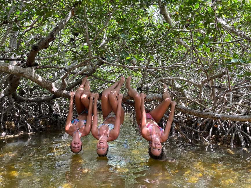 Tavernier, FL: Mangrove and Manatees Guided Kayak Eco Tour - Arriving at 90773 Old Highway