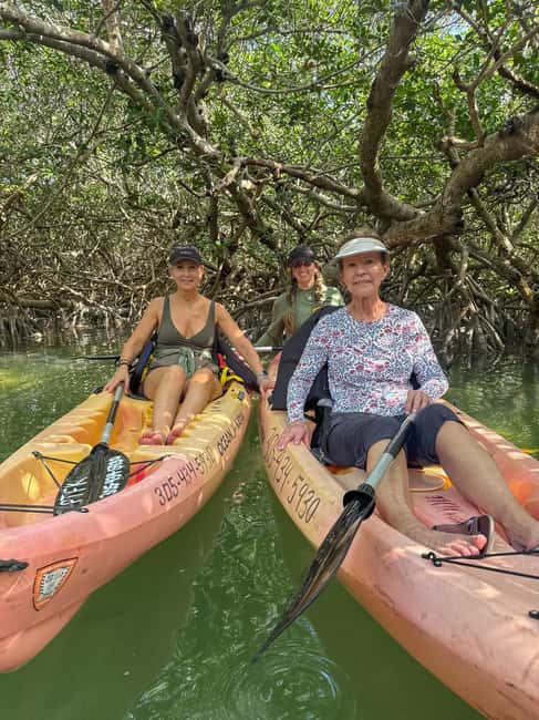 Tavernier, FL: Mangrove and Manatees Guided Kayak Eco Tour - Looking for Manatees, Birds, and Sea Turtles