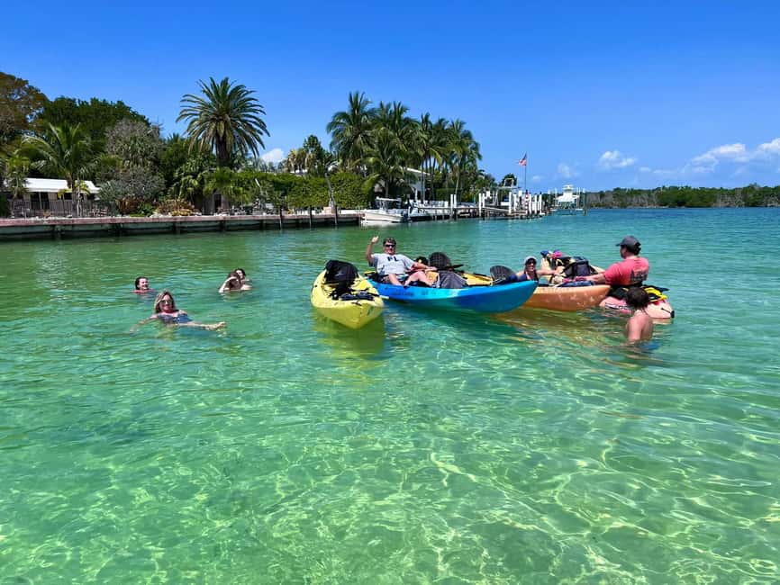 Tavernier, FL: Mangrove and Manatees Guided Kayak Eco Tour - Morning or Afternoon: Choosing Your Time