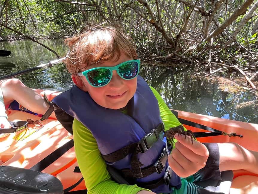 Tavernier, FL: Mangrove and Manatees Guided Kayak Eco Tour - What the $68 Price Includes