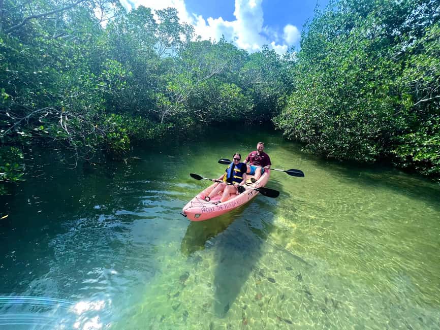 Tavernier, FL: Mangrove and Manatees Guided Kayak Eco Tour - The 15-Minute Safety Briefing
