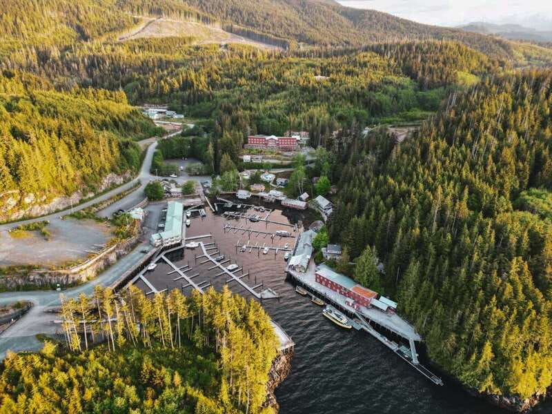 Telegraph Cove: Half-Day Kayaking Tour - Why the guiding matters more than the equipment