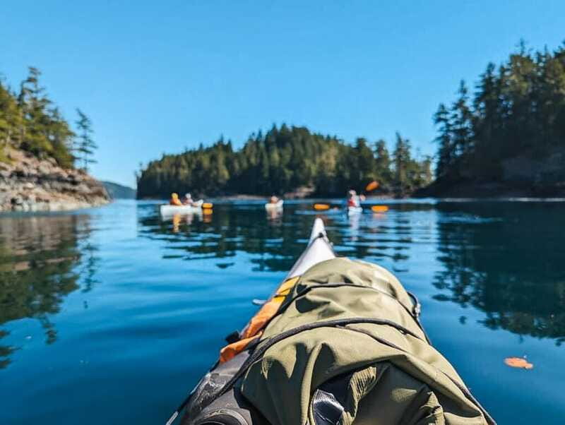 Telegraph Cove: Half-Day Kayaking Tour - Weather, clothing, and comfort on the water