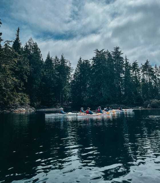 Telegraph Cove: Half-Day Kayaking Tour - Booking flexibility and final practical advice