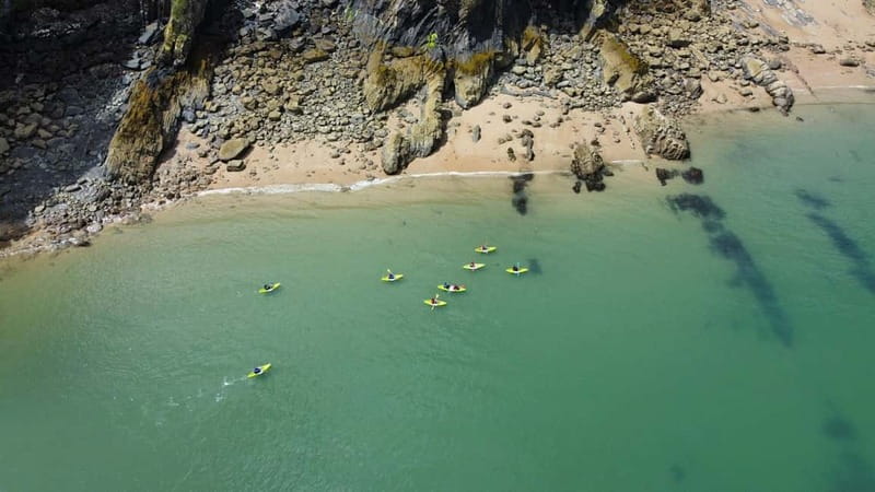 Tenby: Guided Kayaking Adventure - Tenby North Beach: your first view of the town from the water