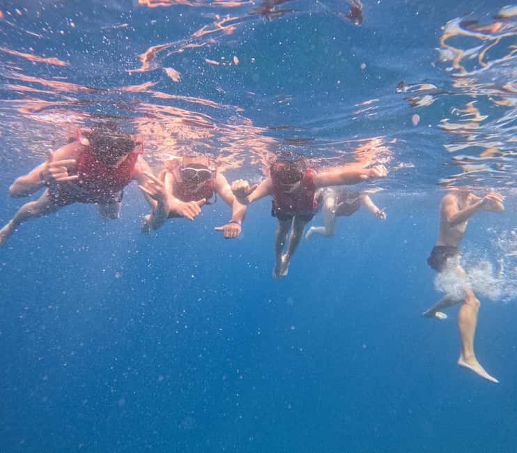 Tenerife: Eco Kayak & Snorkeling - What the walking stops add to the morning
