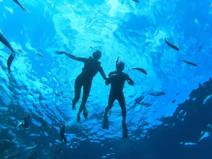 Tenerife: Eco Kayak & Snorkeling - Is $41 a fair price?