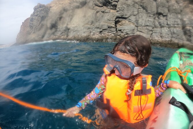 Tenerife: Kayak and snorkel with marine life safari - Guides, safety, and the feel of the group