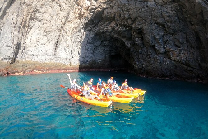 Tenerife: Kayak and snorkel with marine life safari - Snacks, drinks, and what to bring
