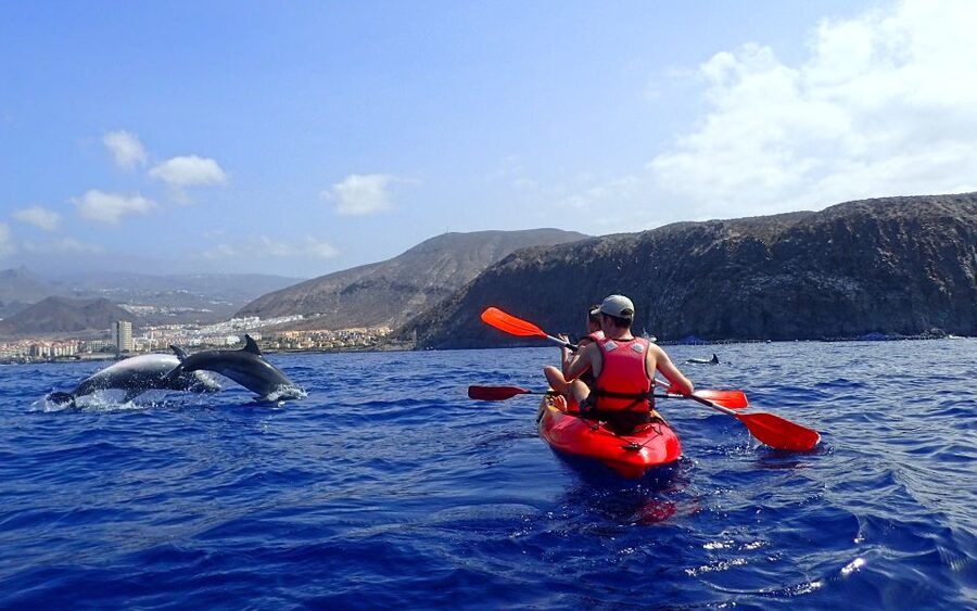 Tenerife: Kayak and Snorkel with Turtles, Wetsuits Included - Cueva de los Enamorados and the wildlife search