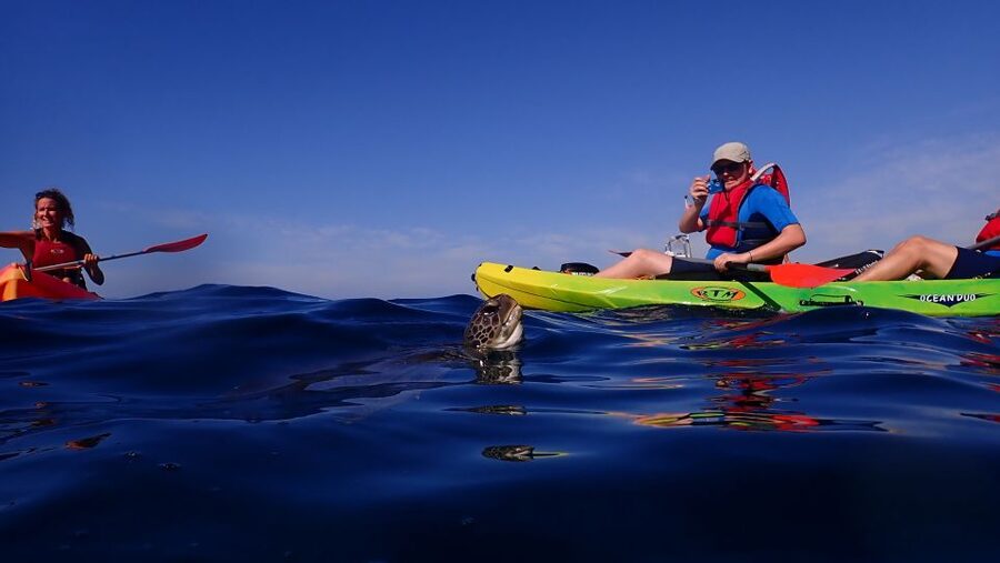 Tenerife: Kayak and Snorkel with Turtles, Wetsuits Included - Snorkeling in a bay reached only by boat