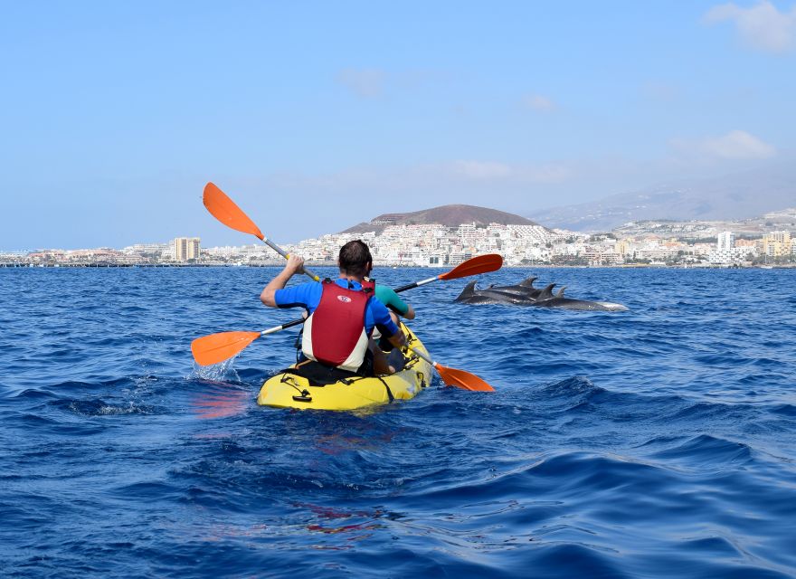Tenerife: Kayak and Snorkel with Turtles, Wetsuits Included - Returning to shore after about three hours