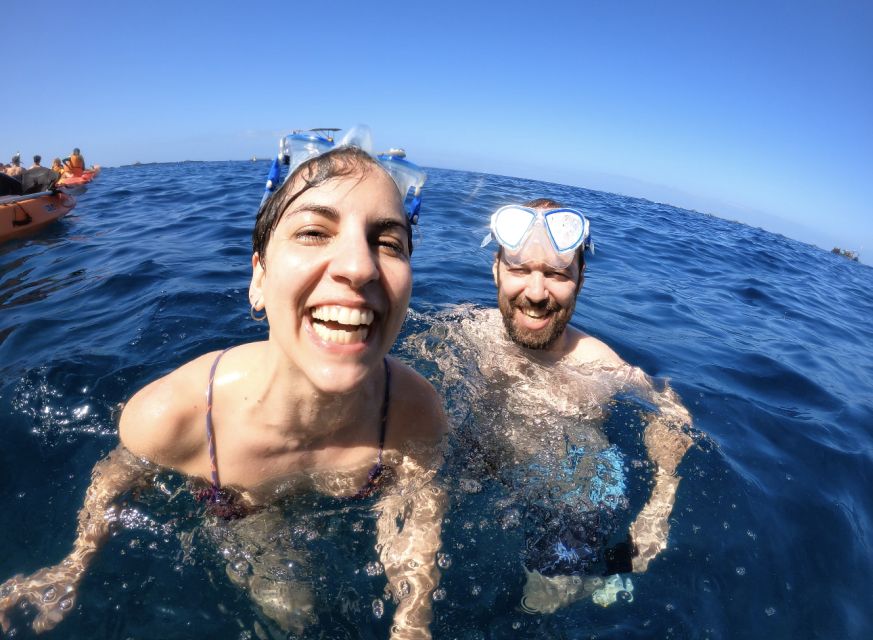 Tenerife: Kayak Safari and Snorkel in a Marine Reserve - How demanding is the kayaking?