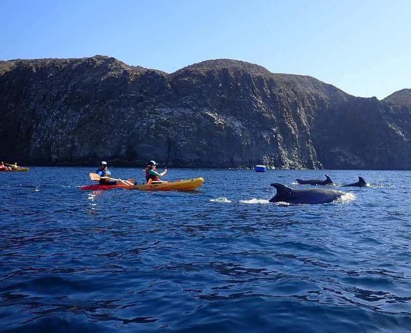 Tenerife: Kayak Sea Safari with Snorkel and Snacks - Key points to know before booking