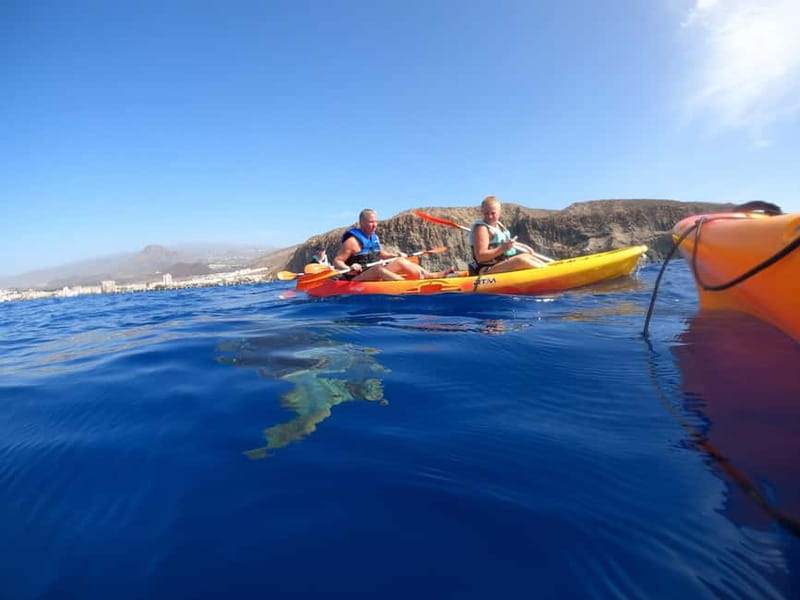 Tenerife: Kayak Sea Safari with Snorkel and Snacks - Who should book this experience