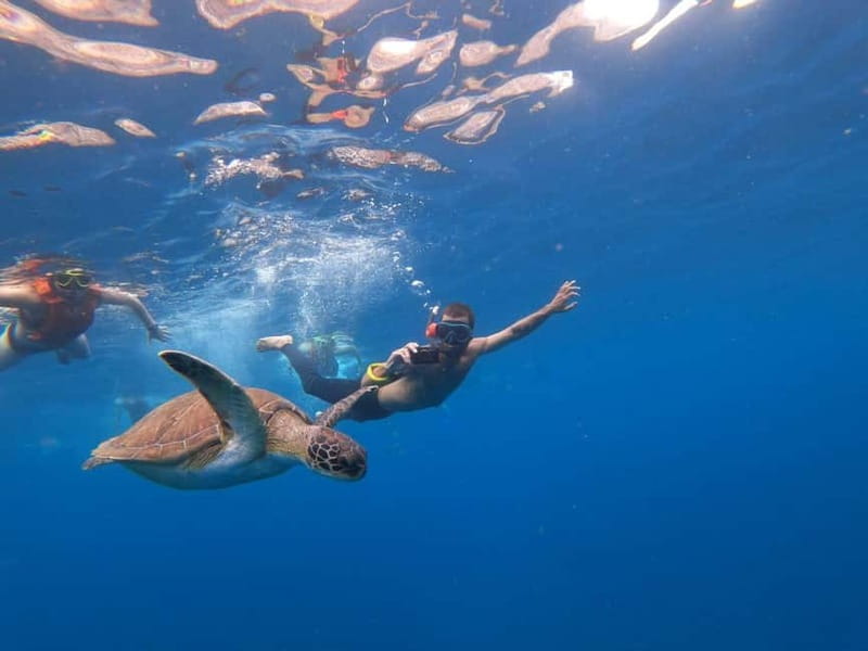 Tenerife: Kayak Sea Safari with Snorkel and Snacks - Why this kayak safari works so well