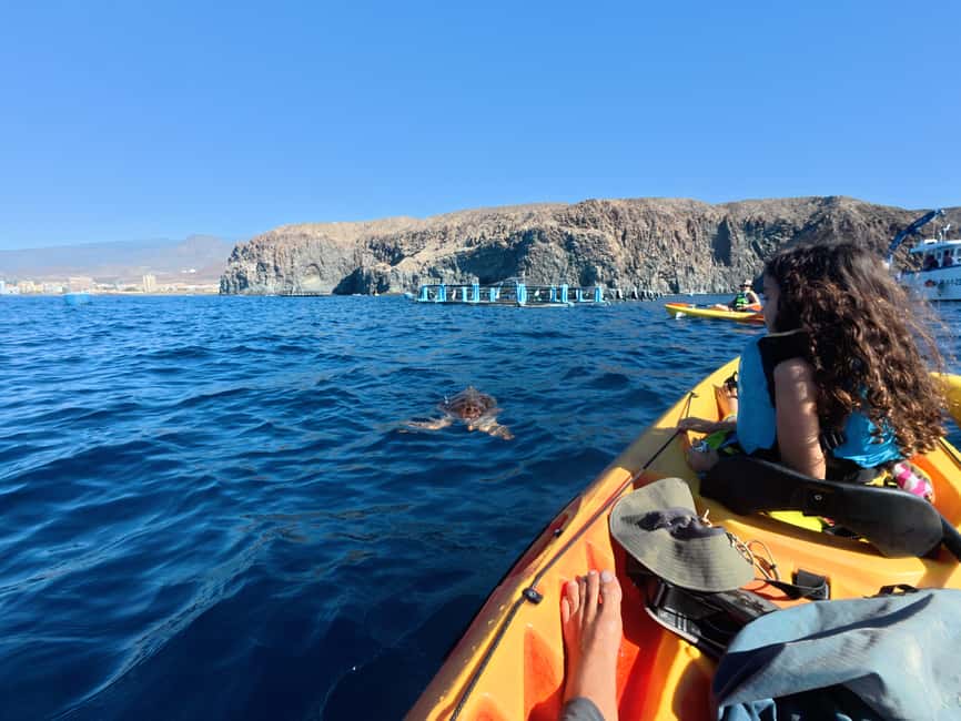 Tenerife: Kayak Sea Safari with Snorkel and Snacks - Watching dolphins and turtles without chasing them