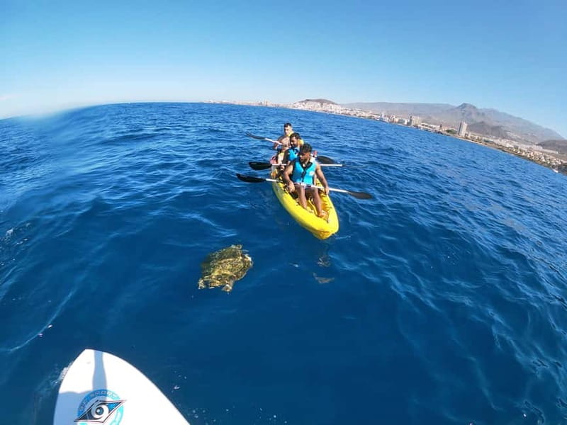 Tenerife: Kayak & Snorkel with Local Fauna, Photos Included - Who will enjoy this most
