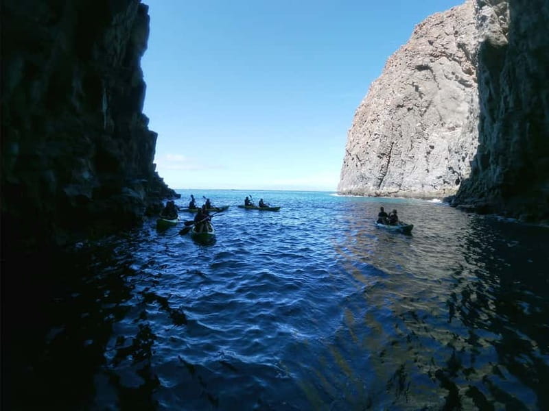 Tenerife: Kayak & Snorkel with Local Fauna, Photos Included - Paddling past Tenerife’s black volcanic cliffs