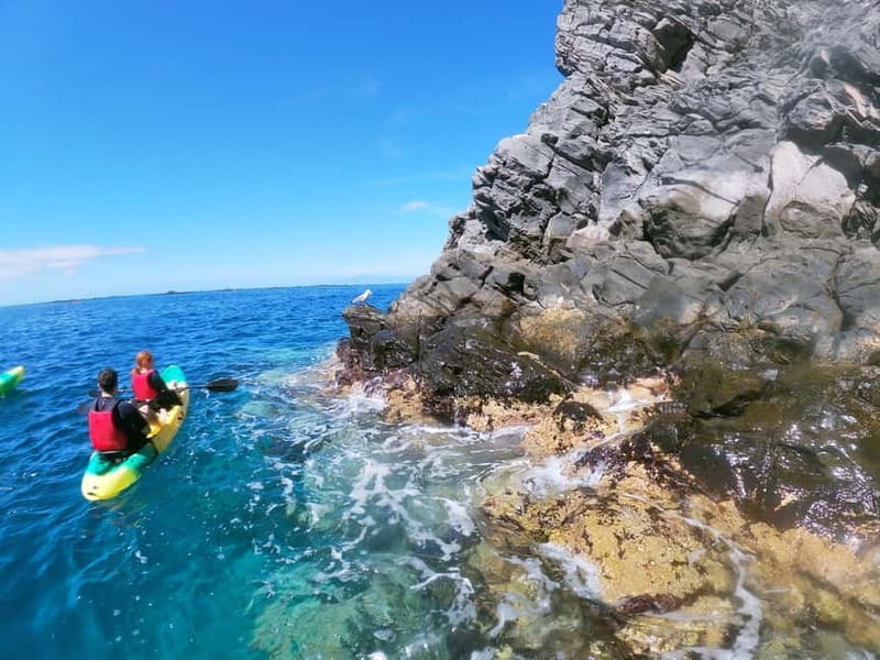 Tenerife: Kayak & Snorkel with Local Fauna, Photos Included - Snorkeling among fish for about 20 minutes