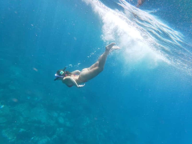Tenerife: Kayak & Snorkel with Local Fauna, Photos Included - Dolphins, turtles, rays, and luck on the water