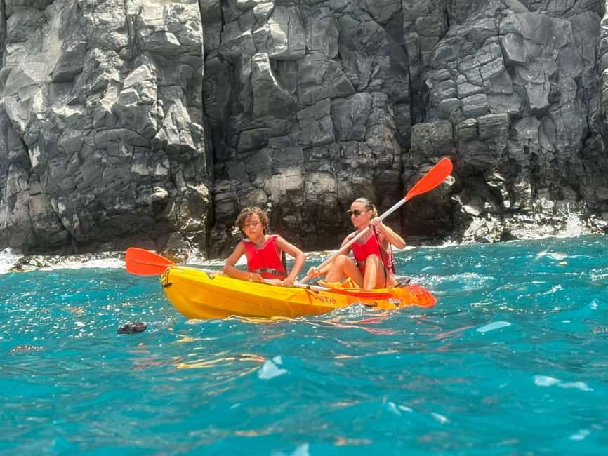 Tenerife: Kayak & Snorkeling, Marine Fauna Watching - Quiet stops for turtles, dolphins, and fish
