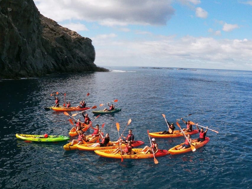 Tenerife: Kayak & Snorkeling, Marine Fauna Watching - Who will enjoy this kayak trip most