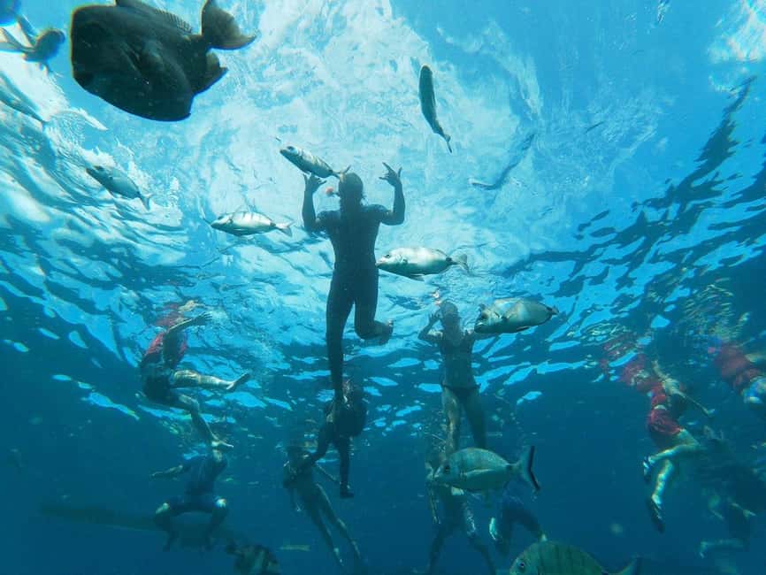 Tenerife: Kayak & Snorkeling, Marine Fauna Watching - Thirty minutes of paddling along the rocky coast