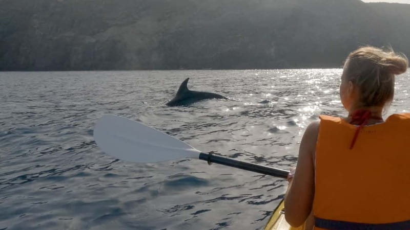 Tenerife: Kayak & Snorkeling Tour - Small Groups - Who should book this Tenerife kayak tour