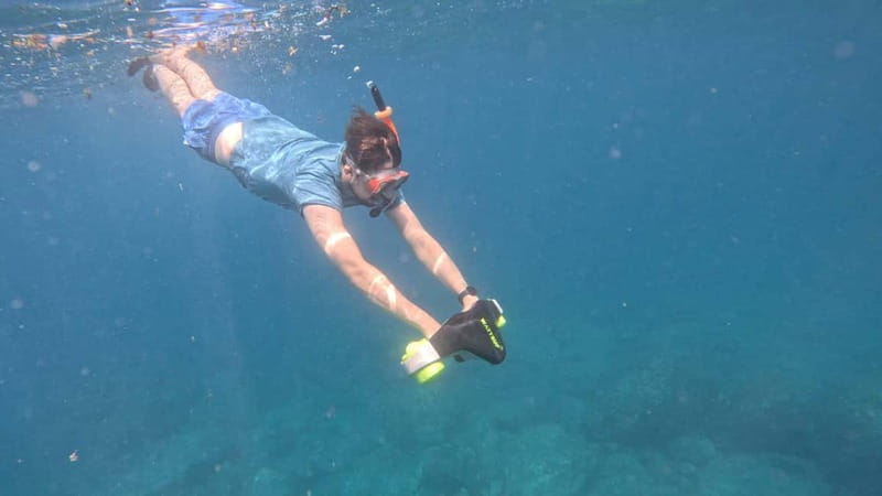 Tenerife: Kayak Tour with Animals and Underwater Scooters - Key points to know before booking