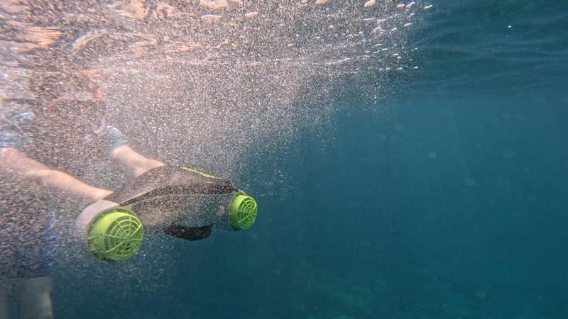 Tenerife: Kayak Tour with Animals and Underwater Scooters - Watching dolphins and turtles without a chase