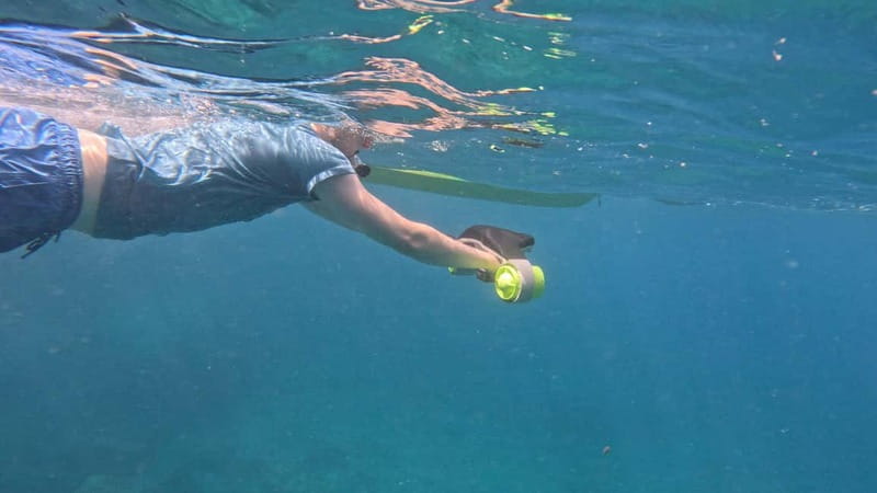 Tenerife: Kayak Tour with Animals and Underwater Scooters - Price, timing, and what you really get