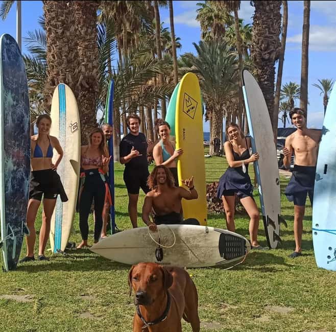 Tenerife: Paddle Surf Experience in Playa de las Américas - Starting beside Avenida Rafael Puig Lluvina