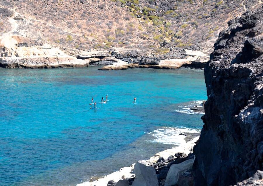 TENERIFE SUR | unforgettable SUP - SNORKELING EXPERIENCE - Learning the Basics Before You Leave Shore