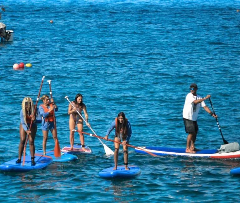 TENERIFE SUR | unforgettable SUP - SNORKELING EXPERIENCE - Snorkeling at a Clear, Secluded Bay