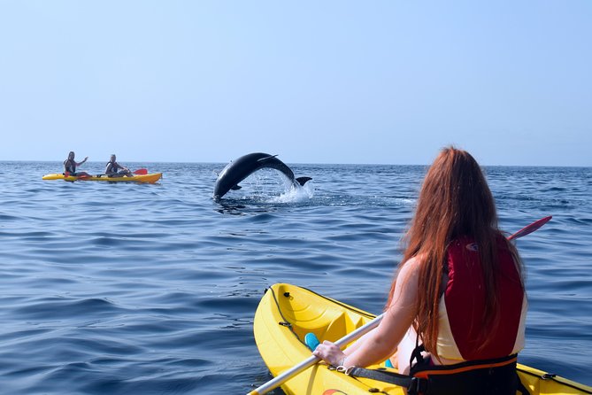 Tenerife: Turtle & Dolphin Kayak Tour with Snorkel & Wetsuit - Looking for dolphins in open water