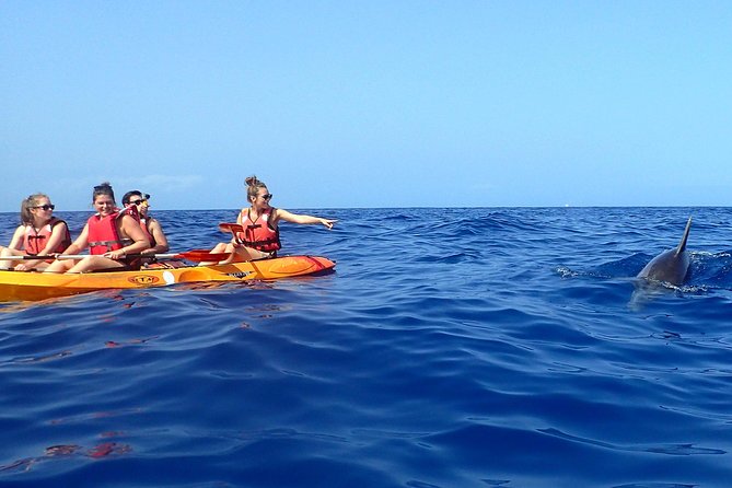 Tenerife: Turtle & Dolphin Kayak Tour with Snorkel & Wetsuit - The snorkeling break and what you may see