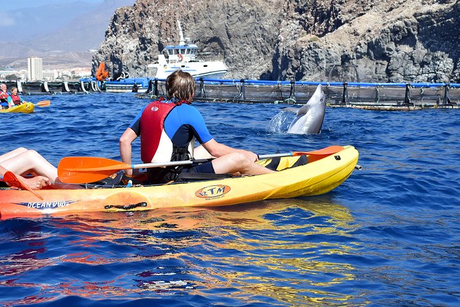 Tenerife: Turtle & Dolphin Kayak Tour with Snorkel & Wetsuit - How the guides shape the experience