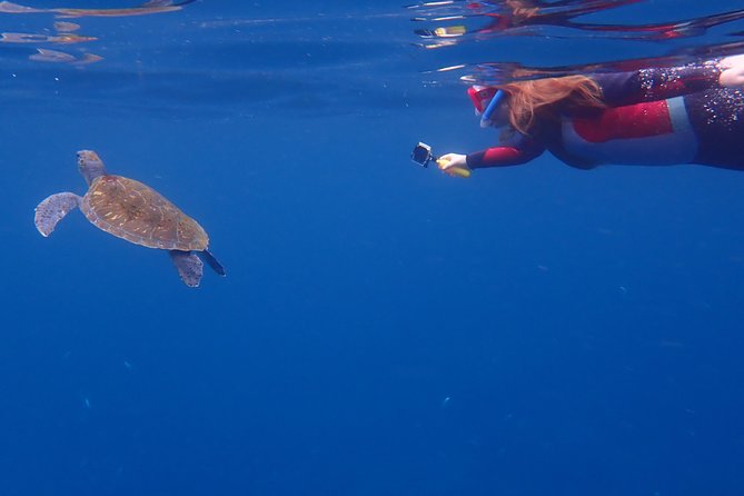 Tenerife: Turtle & Dolphin Kayak Tour with Snorkel & Wetsuit - Fitness, safety, and comfort
