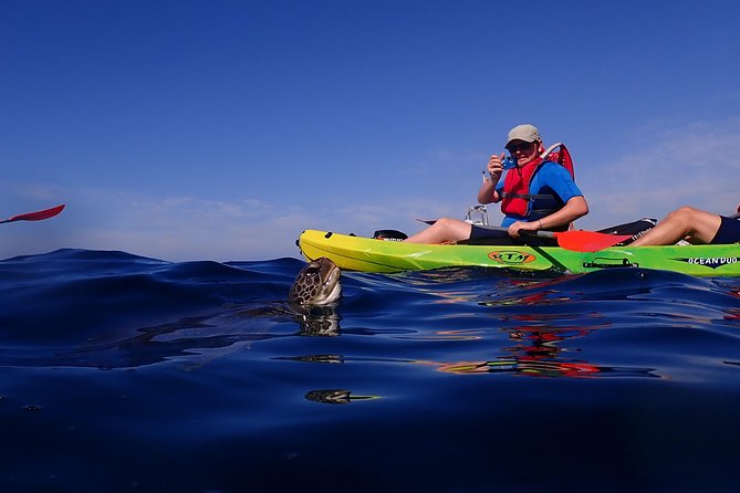 Tenerife: Turtle & Dolphin Kayak Tour with Snorkel & Wetsuit - Booking flexibility and practical value